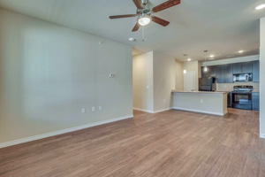 Merritt-McGowan-Manor 076